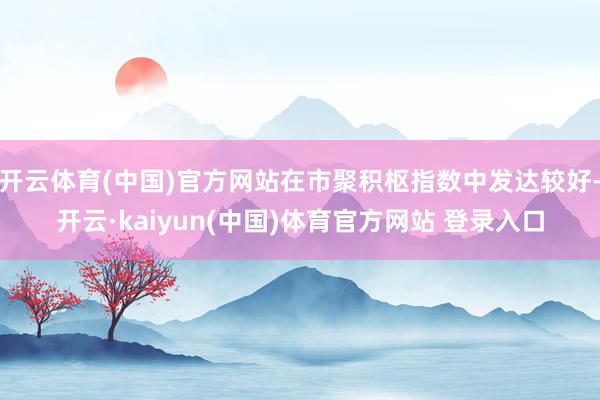 开云体育(中国)官方网站在市聚积枢指数中发达较好-开云·kaiyun(中国)体育官方网站 登录入口