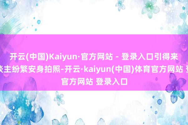 开云(中国)Kaiyun·官方网站 - 登录入口引得来回行东谈主纷繁安身拍照-开云·kaiyun(中国)体育官方网站 登录入口