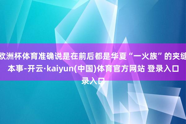 欧洲杯体育准确说是在前后都是华夏“一火族”的夹缝本事-开云·kaiyun(中国)体育官方网站 登录入口