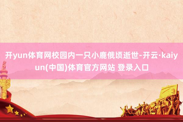 开yun体育网校园内一只小鹿俄顷逝世-开云·kaiyun(中国)体育官方网站 登录入口