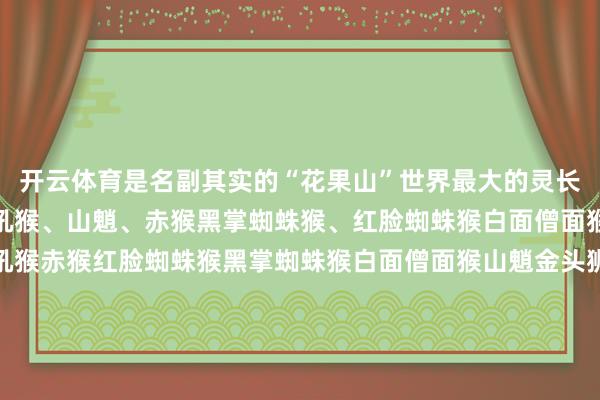 开云体育是名副其实的“花果山”世界最大的灵长类动物联贯地生涯着红吼猴、山魈、赤猴黑掌蜘蛛猴、红脸蜘蛛猴白面僧面猴等十种灵长类动物红吼猴赤猴红脸蜘蛛猴黑掌蜘蛛猴白面僧面猴山魈金头狮狨棉冠狨免费科普教化和手脚展示每天园区都会定时开展多场免费科普教化与手脚展示猩空踱步、老虎扑食猎豹上车、小熊猫取食等始创亚洲小爪水獭情状剧式科普教化浸入式展区与动物互动狐猴岛、卡皮巴拉乐土小熊猫、袋鼠坡 等多个展区给与外洋