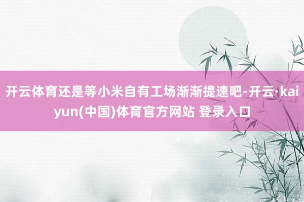 开云体育还是等小米自有工场渐渐提速吧-开云·kaiyun(中国)体育官方网站 登录入口