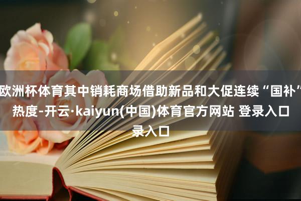 欧洲杯体育其中销耗商场借助新品和大促连续“国补”热度-开云·kaiyun(中国)体育官方网站 登录入口
