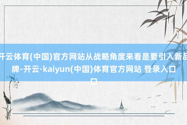 开云体育(中国)官方网站从战略角度来看是要引入新品牌-开云·kaiyun(中国)体育官方网站 登录入口